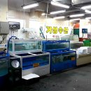 거성수산 이미지