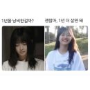 야생동물 멸종위기 친구들을 구해줘 | [2025년 3분기 회고] 좋은 어른이란 맛집을 많이 알아야 한다