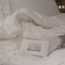 봉포 산들바람 이미지