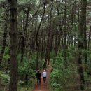 김영찬농장 이미지