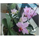 써브 행정사사무소 이미지