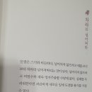 별내SJ유도관 티스토리