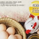 예천 백봉오골계 농장