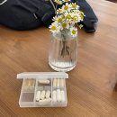 피콜로 라비타 | 근황 및 피콜로라비타 포일동 카페 리뷰