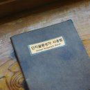 단지골몽상가