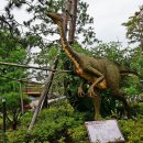 덕소자연사박물관 이미지