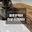 고양이발자국 | 고양이 발톱관리 고민 끝! 고양이 스크래쳐 추천 클로우케어 먀오 스크래처 솔직후기