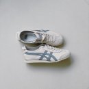 아이보리 타이거 이미지