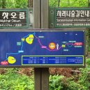 남조로사려니숲길 앞 이미지