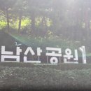 한남 유아숲체험원 이미지