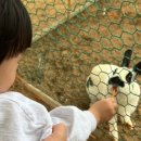 수호일농장 이미지