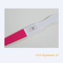 창동메디컬약국 | 서울아이나 정재연쌤 자연1차 후기