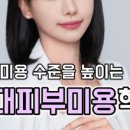 프리티니