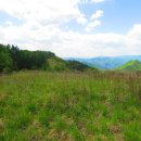 신흥목장 이미지