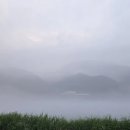 하얀물안개 이미지