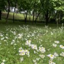 희망로509번길 이미지