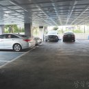 용인아구찜 :: 보라동아구찜 홍도해물탕 후기!