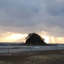 꽃지숙박 | [충남 태안] 꽃지 샵펜션 숙박 후기 — 바다 보며 제대로 힐링하고 온 하루