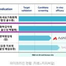 씨엘지피 이미지
