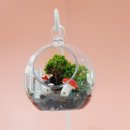 나만의세상 테라리움 만들기 이미지