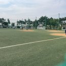 을숙도 리틀야구장 이미지