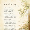 내안에 Daum카페