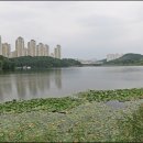 신대호수 이미지