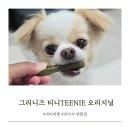티니펫 | 그리니즈 강아지 덴탈껌 티니 오리지널 네이버펫 구매후기