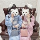 레이스 기모노 대여하기 (지뢰계/양산형) *업체비교, 가격, 위치, 헤어셋팅, 주의사항, 포토스팟, 후기