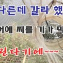 학동제 이미지