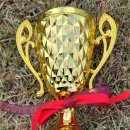 2025.11.16. 금정구청장배 족구대회 결과 이미지