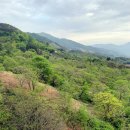 지리산 구찌네 | 켄싱턴리조트 지리산하동 디럭스 스파 솔직후기★ 꿀팁..