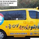 용인대 한빛 태권도장 이미지