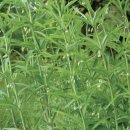 강장군농장 이미지