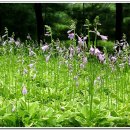 이현IC주유소 이미지