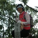 김영수 2010년 7월 3일 군서산악회 진안 마이산 산행 이미지
