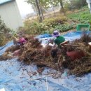 별밭에서 이미지