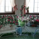 인간과허브 이미지