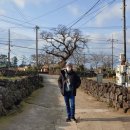 봉아저씨네 민박 이미지