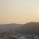 김순효자문 이미지