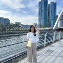 디자이너 브랜드 가방 추천 여자 데일리 미니 크로스백 [디디플로시] 플로바백