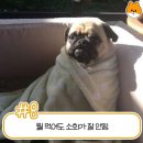 내몸밸런스