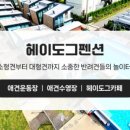 헤이도그 이미지