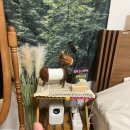 유유한가 이미지