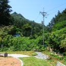 오네노네 이미지