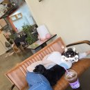 그루멍 프렌즈 이미지