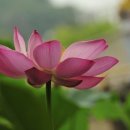 동양농장 이미지