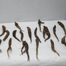 뇌종양 말기 교모세포종 자연치유 문의 뇌종양 치료법 자연 치료법 간단하게 고치는 방법 이미지