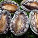 완도전복 이미지