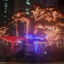 모텔 트리 이미지